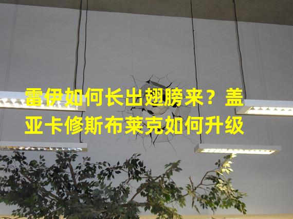 雷伊如何长出翅膀来？盖亚卡修斯布莱克如何升级