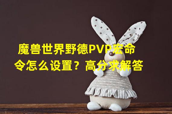 魔兽世界野德PVP宏命令怎么设置？高分求解答