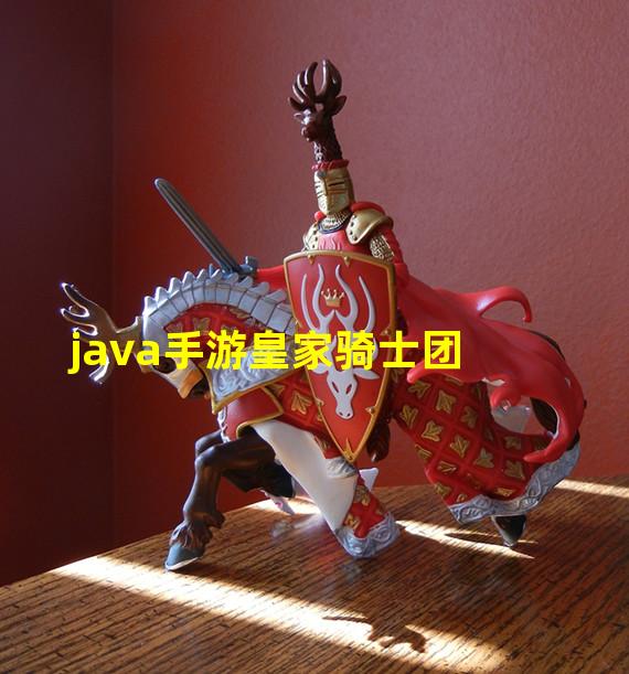 java手游皇家骑士团