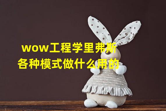 wow工程学里弗斯各种模式做什么用的