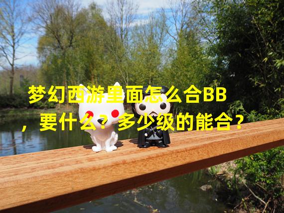 梦幻西游里面怎么合BB，要什么？多少级的能合？