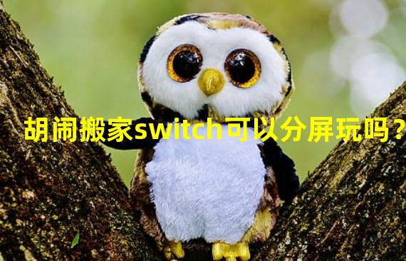 胡闹搬家switch可以分屏玩吗？