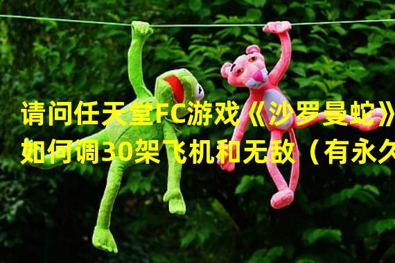 请问任天堂FC游戏《沙罗曼蛇》如何调30架飞机和无敌（有永久防护罩）的呢？