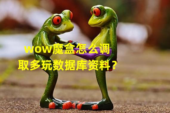 wow魔盒怎么调取多玩数据库资料？