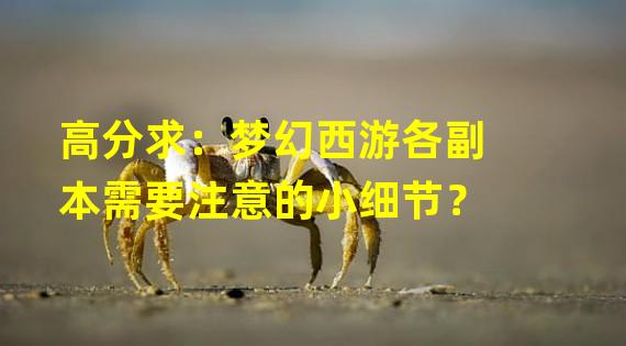 高分求：梦幻西游各副本需要注意的小细节？