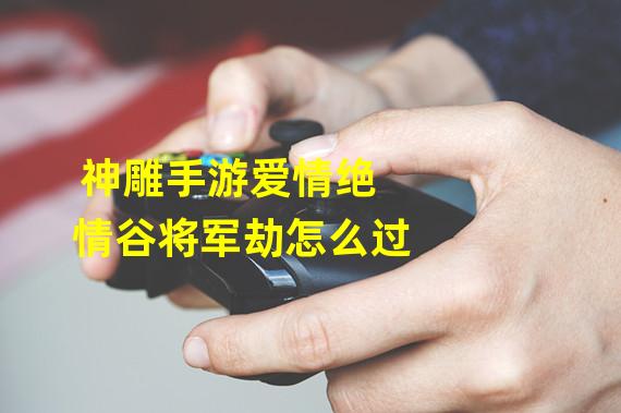 神雕手游爱情绝情谷将军劫怎么过