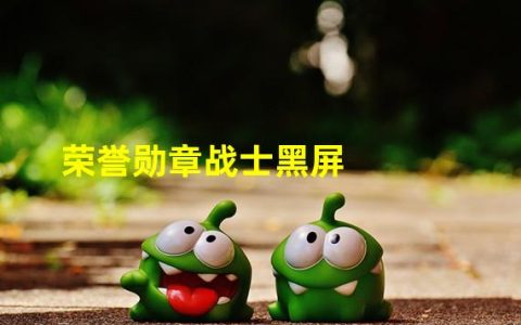 荣誉勋章战士黑屏无反应(荣誉勋章战士黑屏)