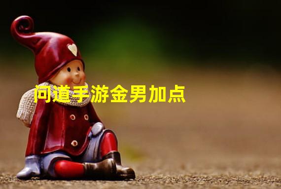 问道手游金男加点