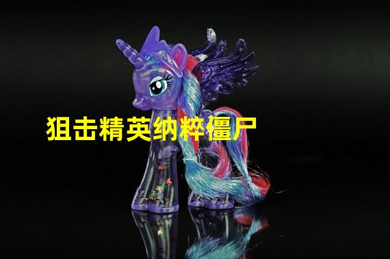 狙击精英纳粹僵尸