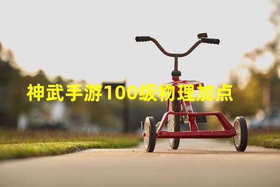 神武手游100级物理加点