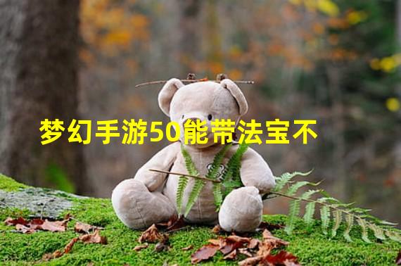 梦幻手游50能带法宝不