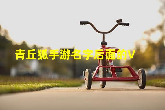 青丘狐手游名字后面的V