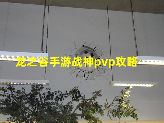 龙之谷手游战神pvp攻略