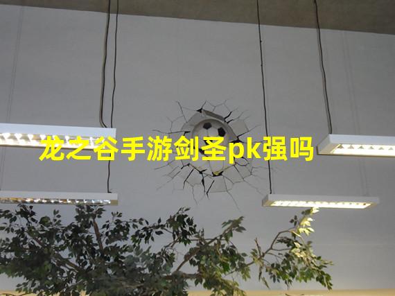 龙之谷手游剑圣pk强吗