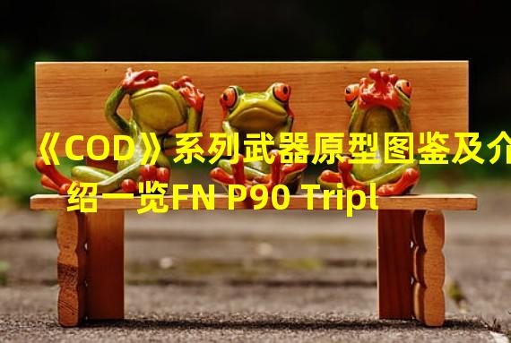 《COD》系列武器原型图鉴及介绍一览FN P90 Triple