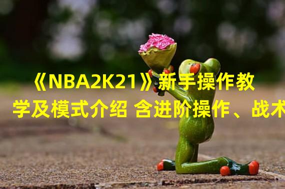 《NBA2K21》新手操作教学及模式介绍 含进阶操作、战术