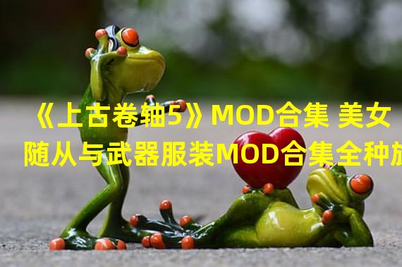 《上古卷轴5》MOD合集 美女随从与武器服装MOD合集全种族