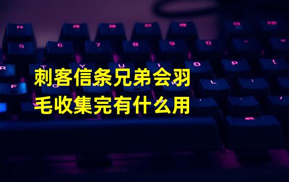 刺客信条兄弟会羽毛收集完有什么用