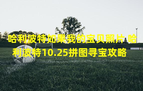 哈利波特如果我的宝贝照片 哈利波特10.25拼图寻宝攻略