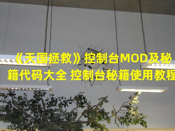 《天国拯救》控制台MOD及秘籍代码大全 控制台秘籍使用教程