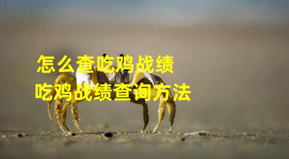 怎么查吃鸡战绩 吃鸡战绩查询方法