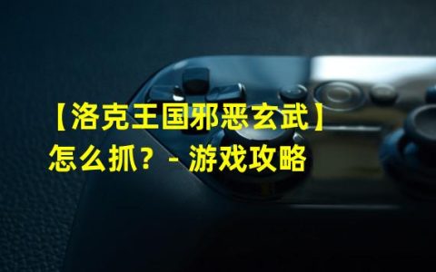 【洛克王国邪恶玄武】怎么抓？- 游戏攻略