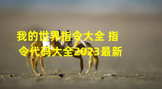 我的世界指令大全 指令代码大全2023最新