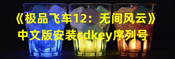 《极品飞车12：无间风云》中文版安装cdkey序列号