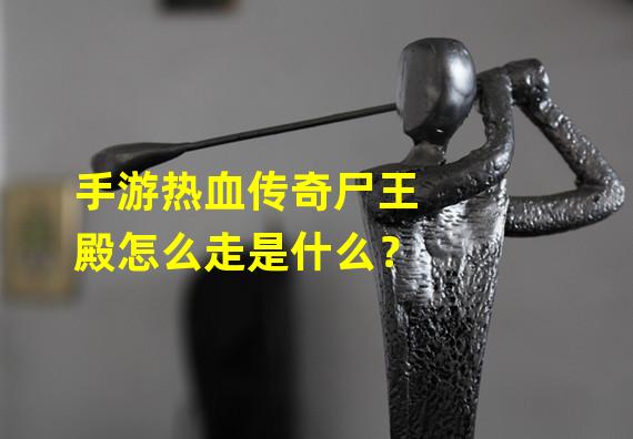 手游热血传奇尸王殿怎么走是什么？