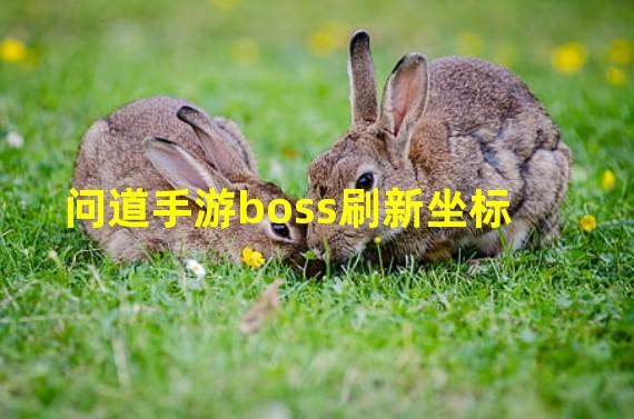 问道手游boss刷新坐标