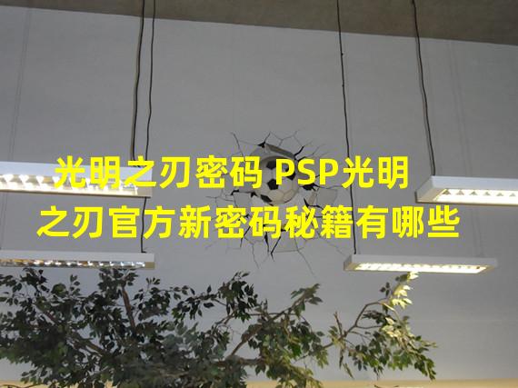 光明之刃密码 PSP光明之刃官方新密码秘籍有哪些