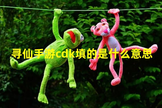 寻仙手游cdk填的是什么意思