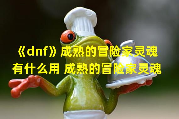 《dnf》成熟的冒险家灵魂有什么用 成熟的冒险家灵魂