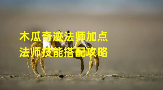 木瓜奇迹法师加点法师技能搭配攻略