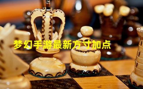 梦幻手游方寸加点大全(梦幻手游最新方寸加点)