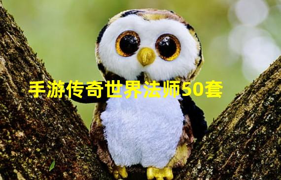 手游传奇世界法师50套