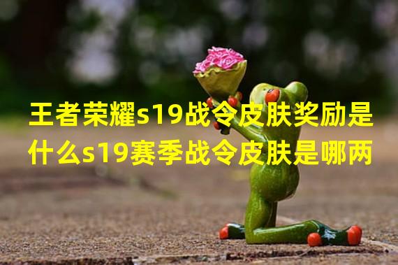 王者荣耀s19战令皮肤奖励是什么s19赛季战令皮肤是哪两