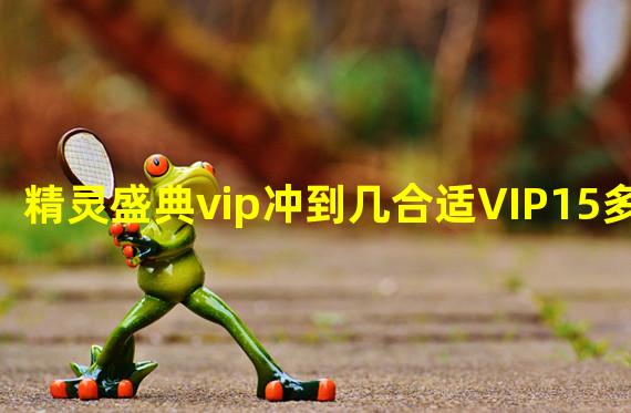 精灵盛典vip冲到几合适VIP15多少钱