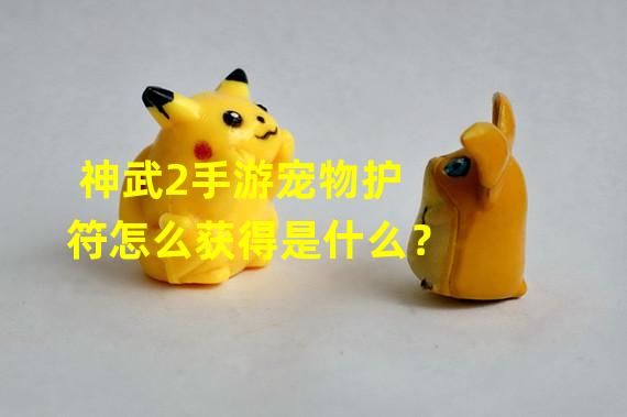 神武2手游宠物护符怎么获得是什么？