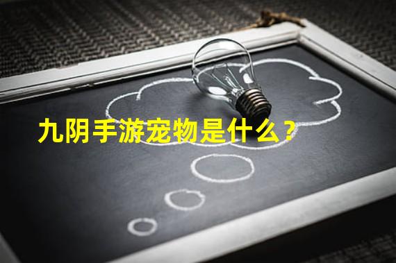 九阴手游宠物是什么？