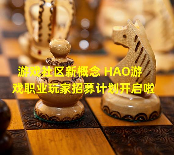 游戏社区新概念 HAO游戏职业玩家招募计划开启啦