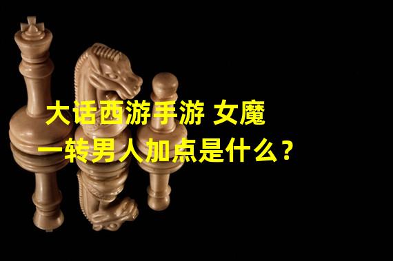 大话西游手游 女魔一转男人加点是什么？