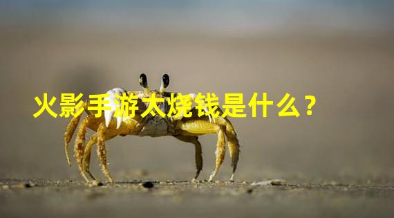 火影手游太烧钱是什么？