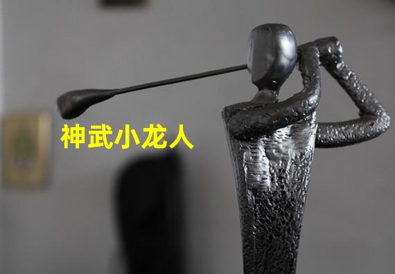 神武小龙人