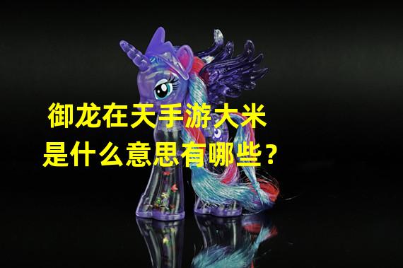 御龙在天手游大米是什么意思有哪些？