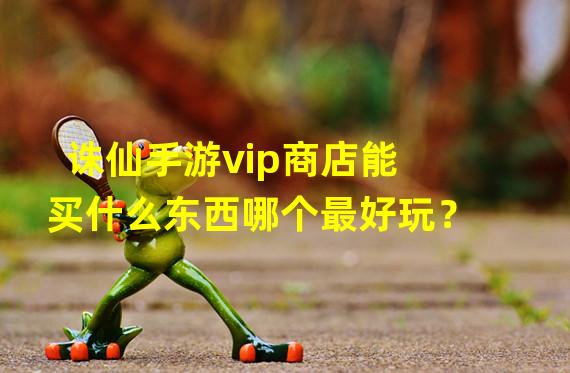 诛仙手游vip商店能买什么东西哪个最好玩？