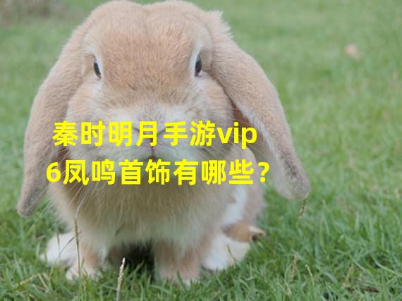 秦时明月手游vip6凤鸣首饰有哪些？