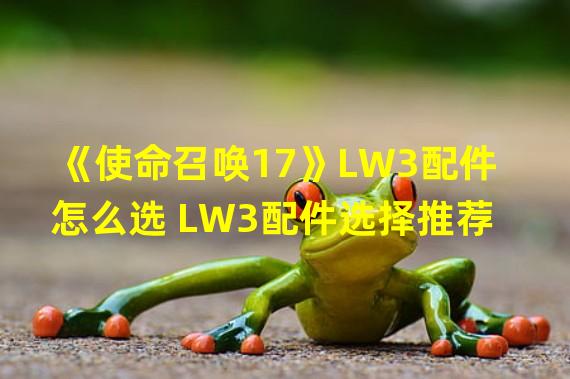 《使命召唤17》LW3配件怎么选 LW3配件选择推荐