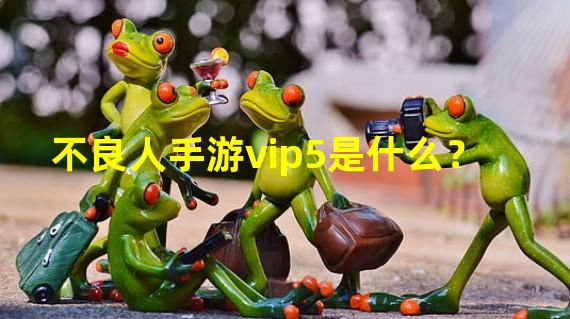 不良人手游vip5是什么？