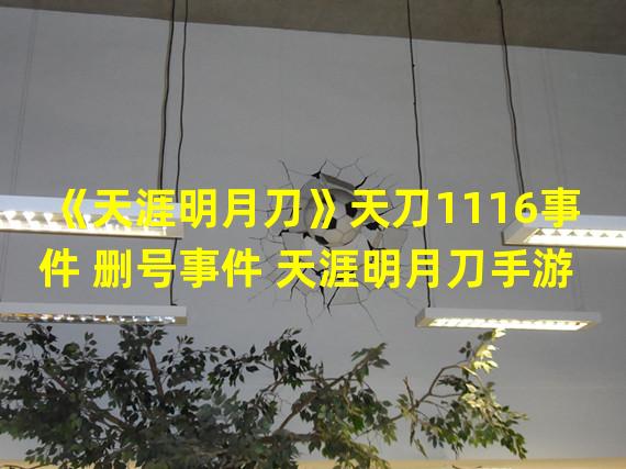 《天涯明月刀》天刀1116事件 删号事件 天涯明月刀手游